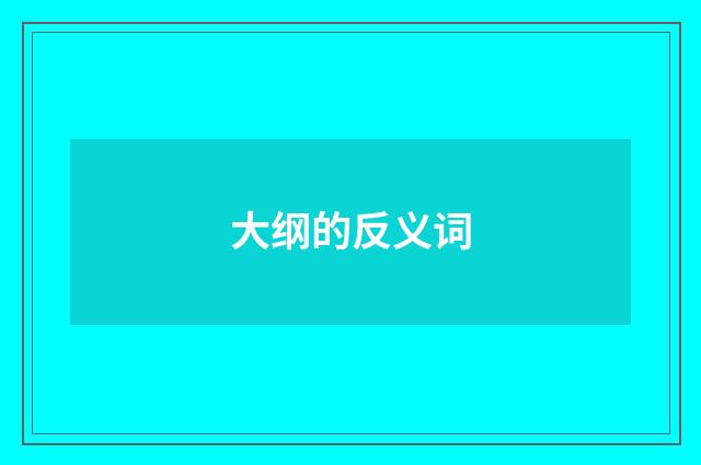 大纲的反义词