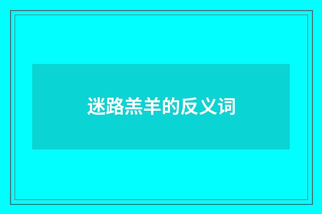迷路羔羊的反义词