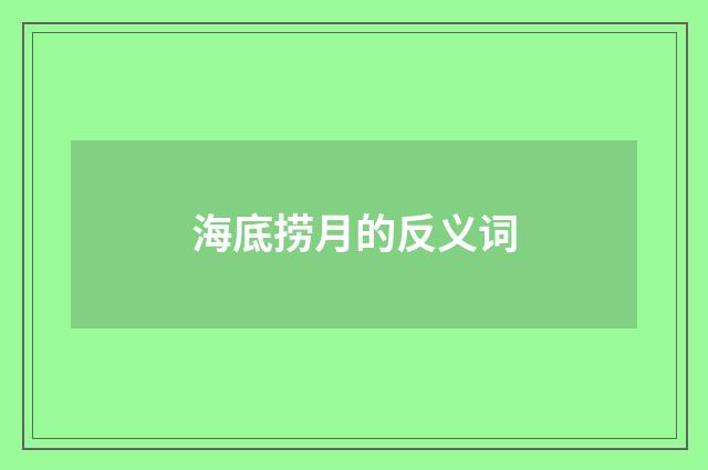 海底捞月的反义词