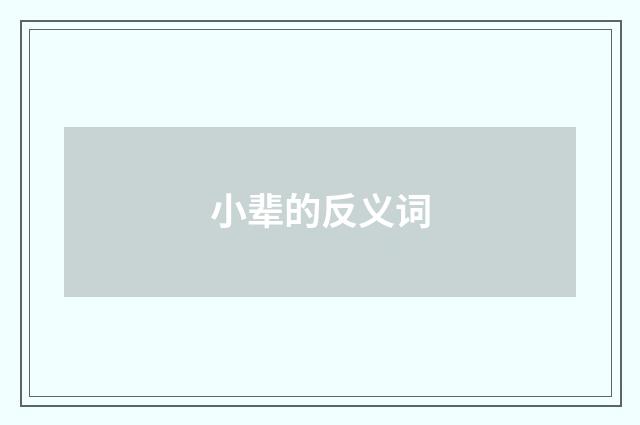 小辈的反义词