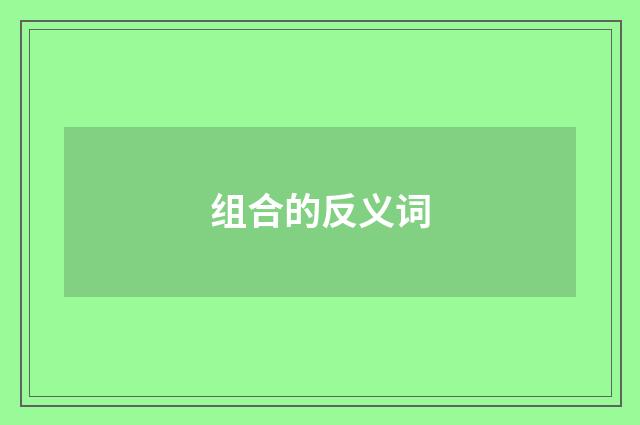 组合的反义词