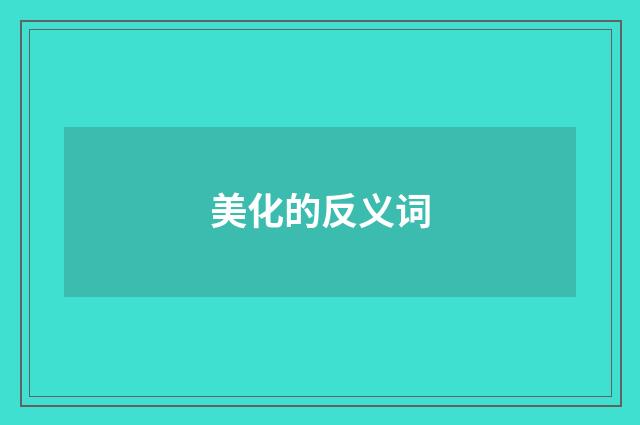 美化的反义词