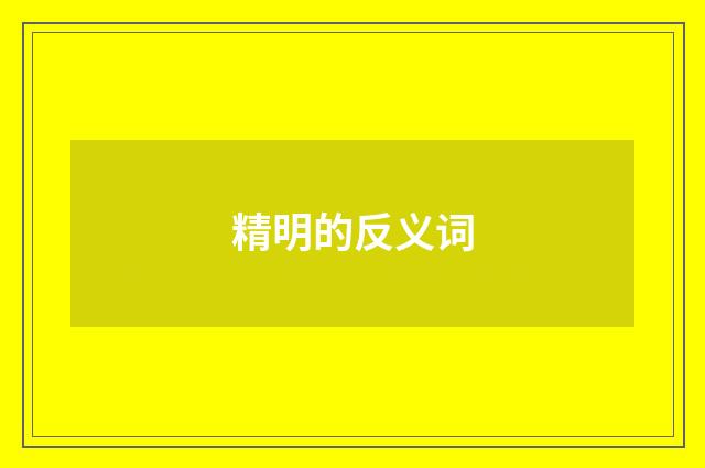 精明的反义词
