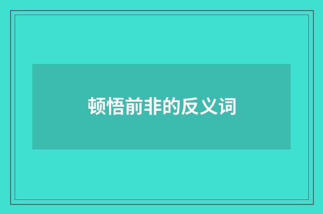 顿悟前非的反义词