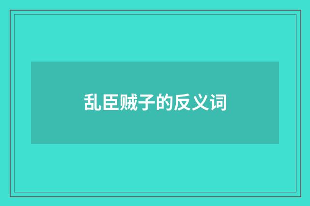 乱臣贼子的反义词