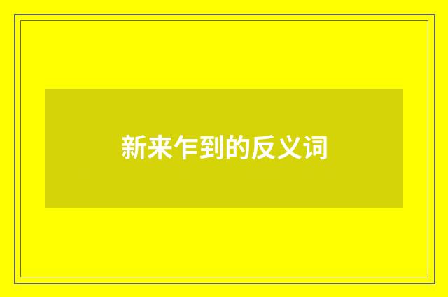 新来乍到的反义词