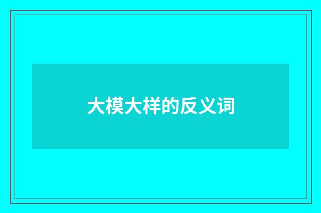 大模大样的反义词