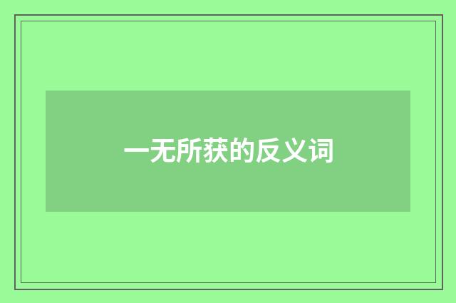 一无所获的反义词