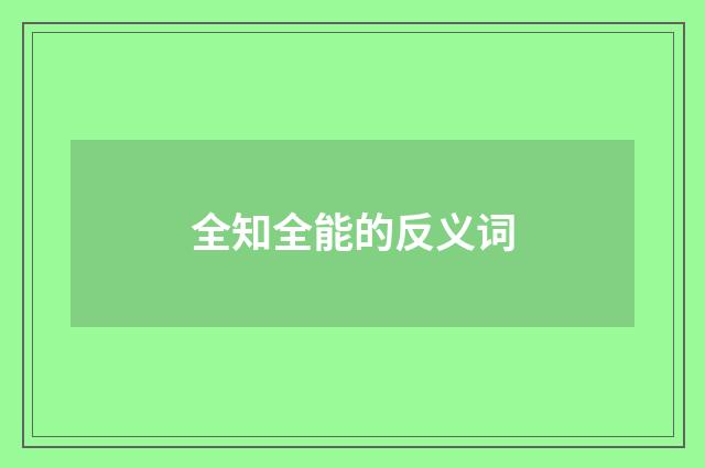 全知全能的反义词