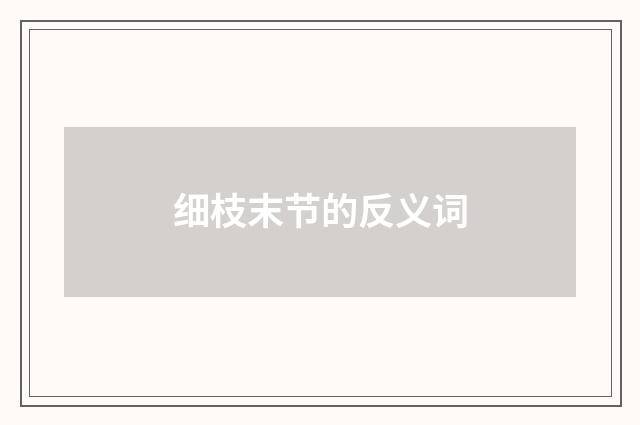 细枝末节的反义词