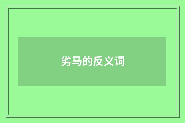 劣马的反义词