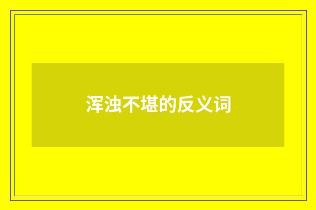 浑浊不堪的反义词