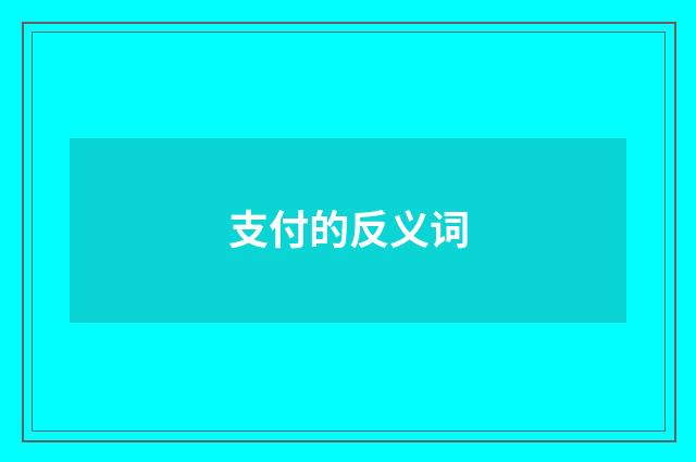 支付的反义词