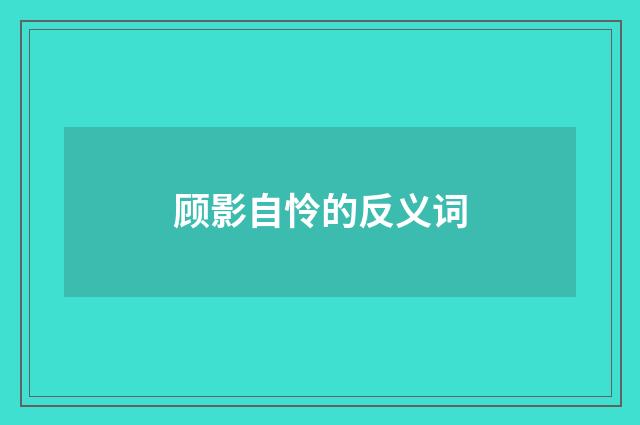 顾影自怜的反义词