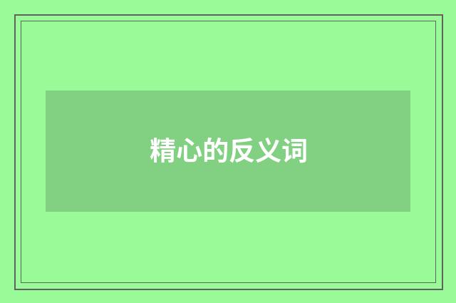 精心的反义词