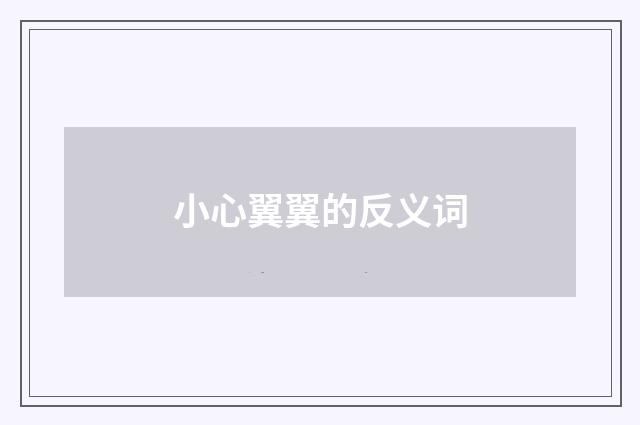 小心翼翼的反义词