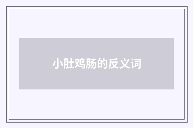 小肚鸡肠的反义词