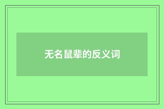 无名鼠辈的反义词