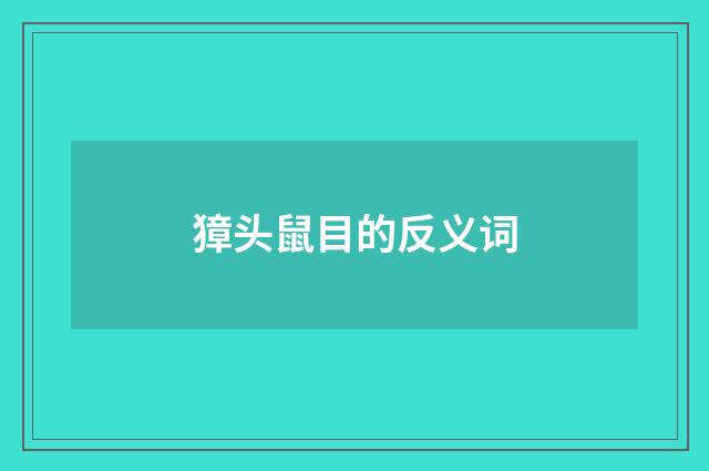 獐头鼠目的反义词