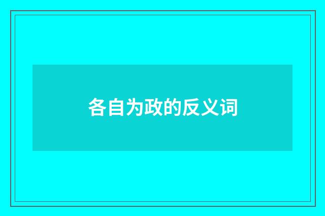 各自为政的反义词