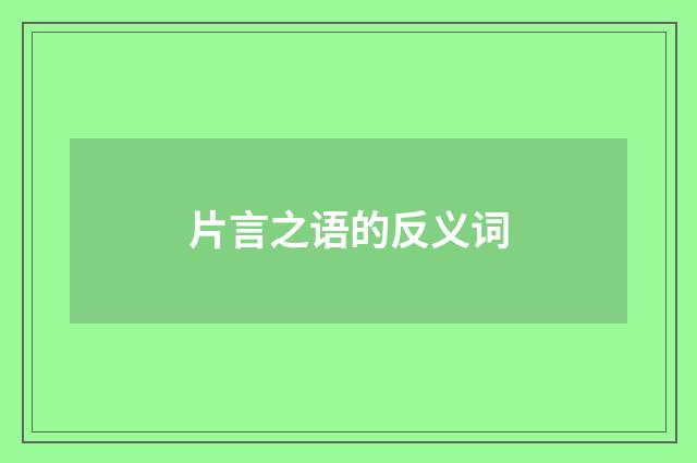 片言之语的反义词