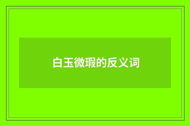 白玉微瑕的反义词