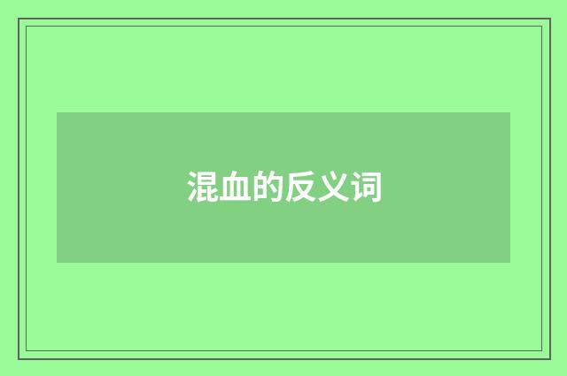 混血的反义词