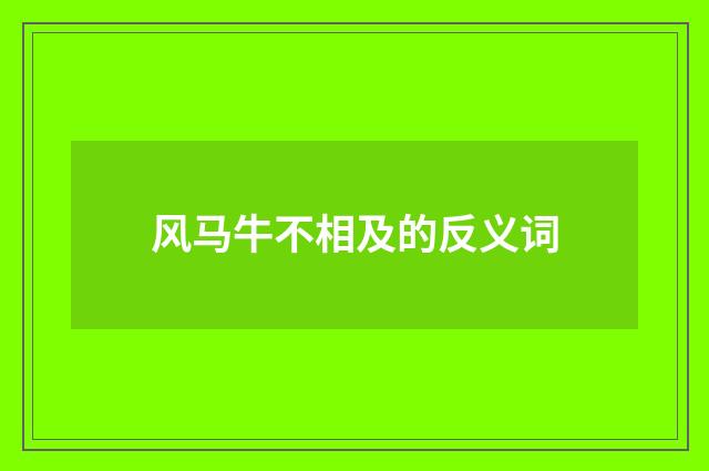 风马牛不相及的反义词