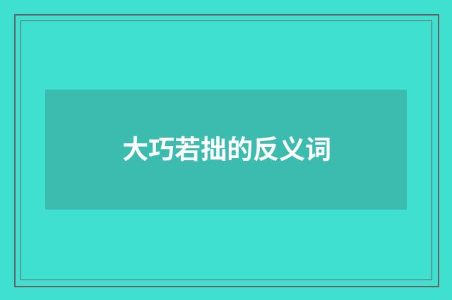 大巧若拙的反义词