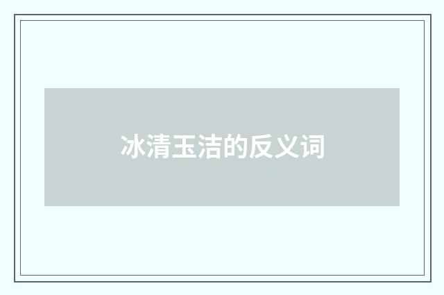 冰清玉洁的反义词