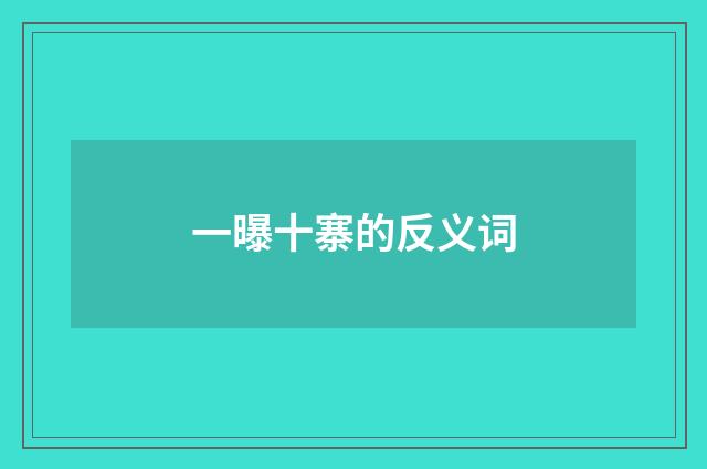 一曝十寨的反义词
