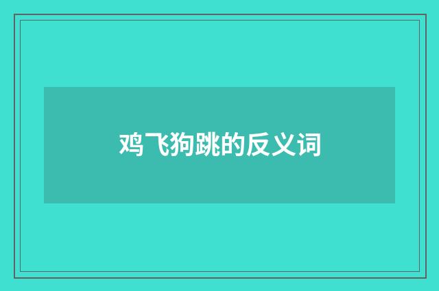 鸡飞狗跳的反义词