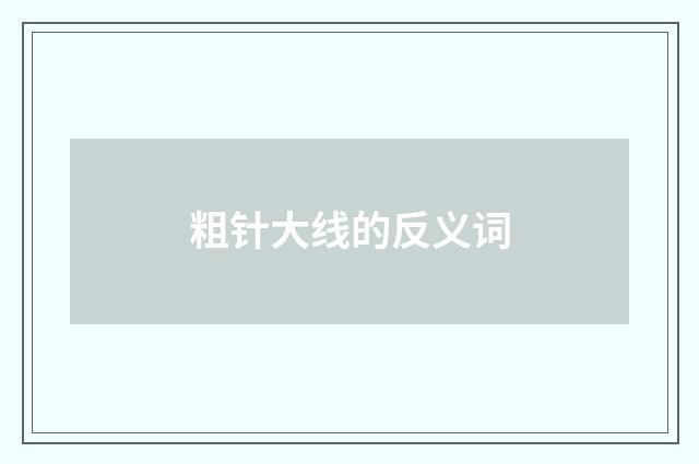 粗针大线的反义词