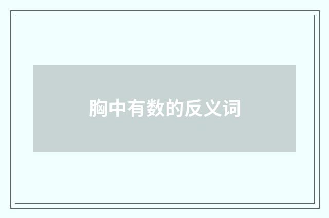 胸中有数的反义词
