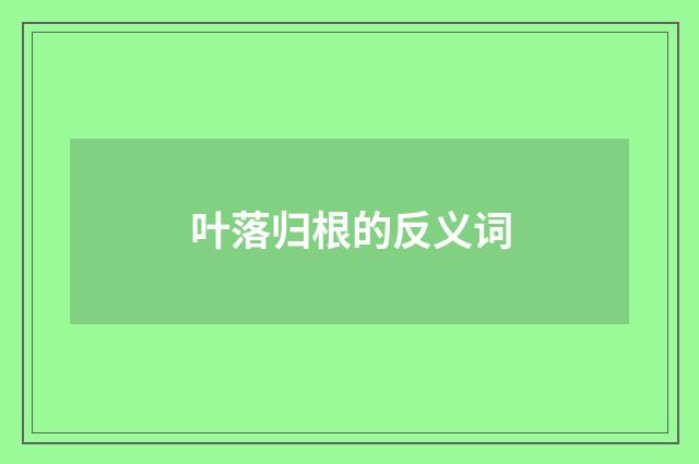 叶落归根的反义词