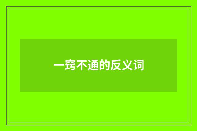 一窍不通的反义词
