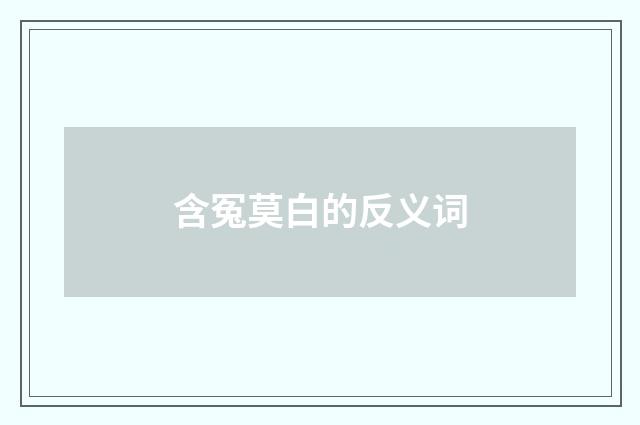 含冤莫白的反义词