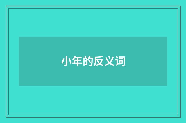 小年的反义词