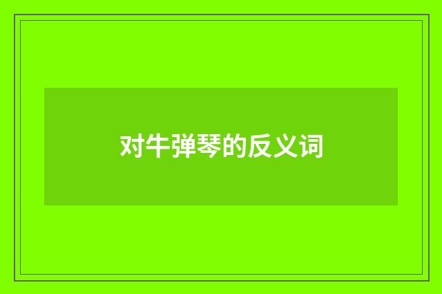 对牛弹琴的反义词
