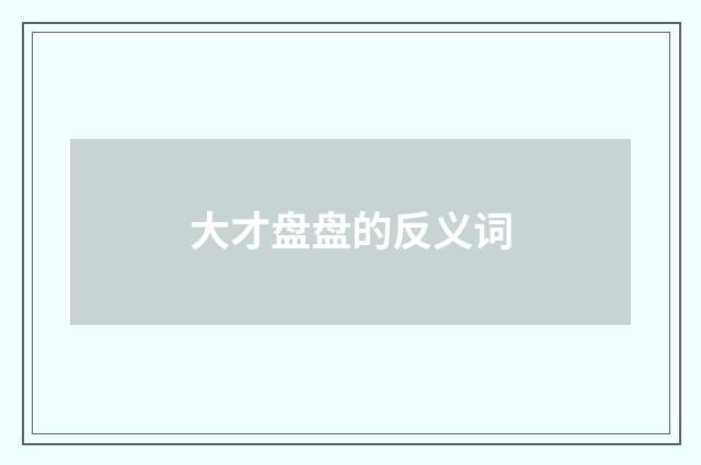 大才盘盘的反义词