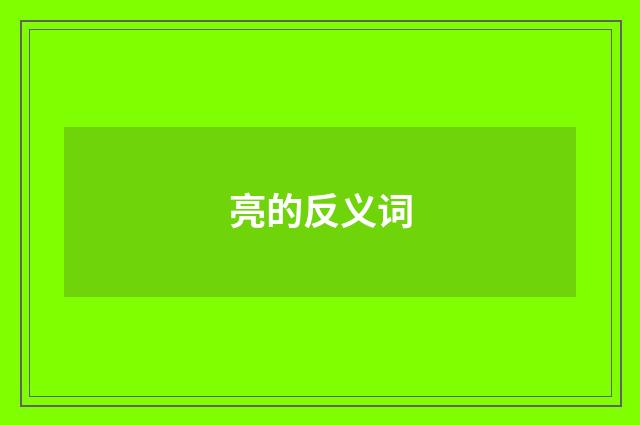 亮的反义词