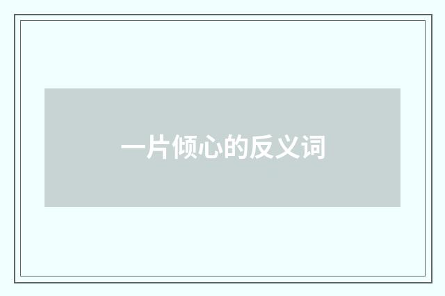 一片倾心的反义词