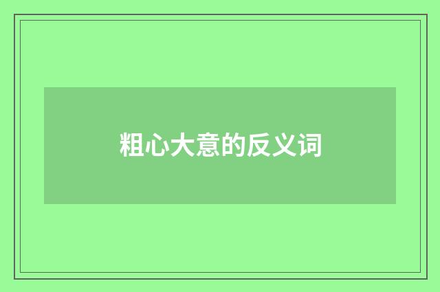 粗心大意的反义词