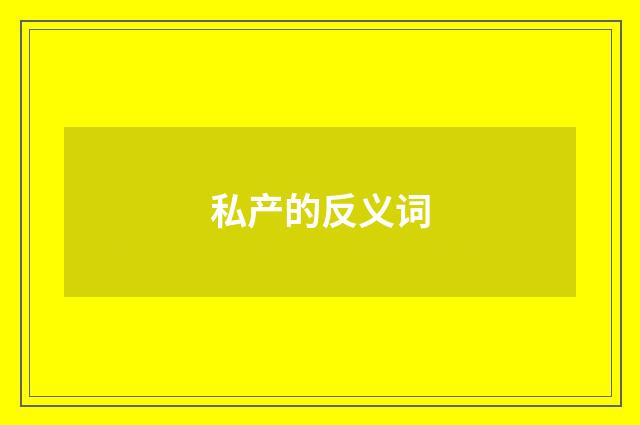 私产的反义词