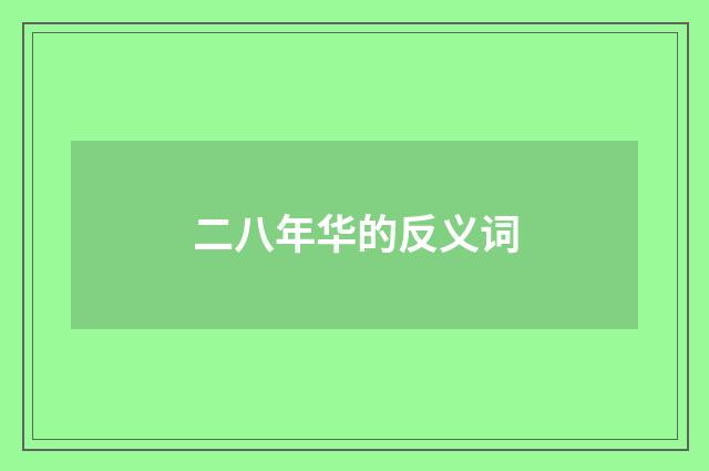 二八年华的反义词