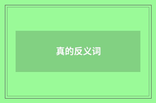 真的反义词