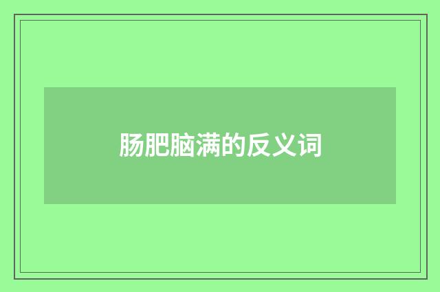肠肥脑满的反义词