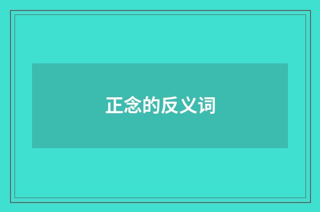 正念的反义词