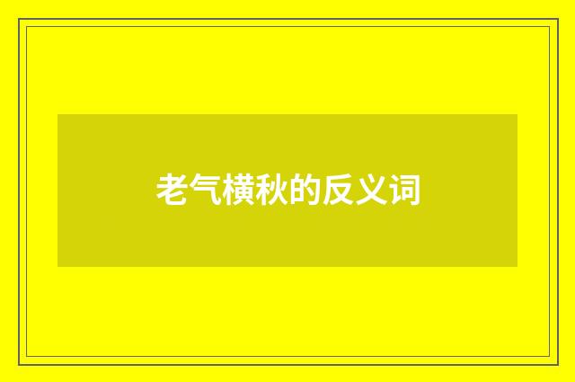 老气横秋的反义词