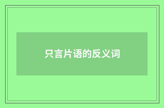 只言片语的反义词